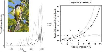 Editorial: Vagrancy, exploratory behavior and colonization by birds: Escape from extinction?